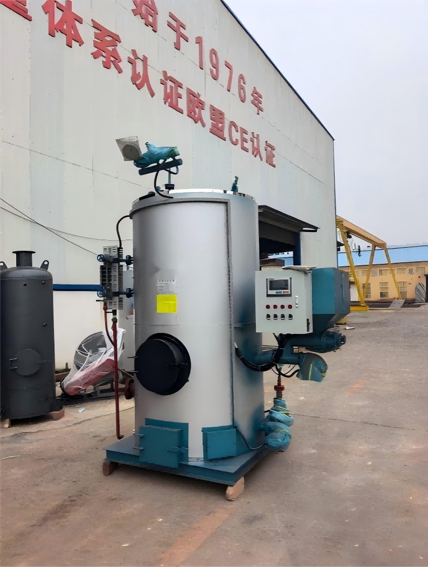 新疆塔城1吨燃煤生物质蒸汽发生器水泥制品蒸养